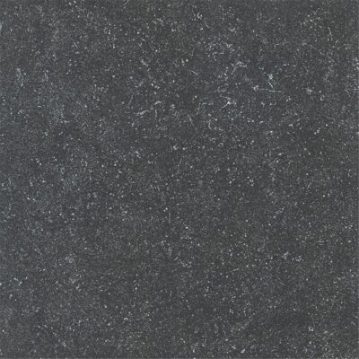 B01 BELGIAN BLUE DARK