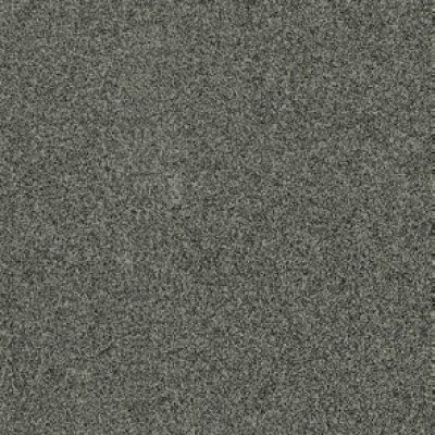 V52 MEISSEN CALYPSO ANTRACIET K10 - TEV